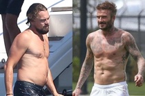 Vi sao beo nhu Leonardo DiCaprio lai quyen ru? hinh anh