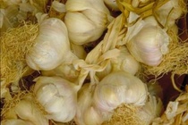 Meo diet chuot an toan khong can danh ba hinh anh