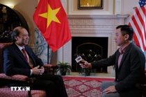 Viet Nam khang dinh trach nhiem quoc te tai Hoi dong Hoa binh ve Gaza hinh anh