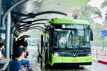 TP.HCM co chu truong mien phi xe buyt cho nguoi dan hinh anh