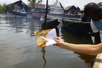 Gần 14.000 người Nigeria kiện Shell