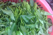 Chuyen gia dinh duong bay cach chon thuc pham an toan hinh anh