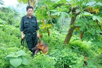 Nghi can giet 4 nguoi roi bo tron co mang theo sung hinh anh