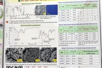 Bo GD&DT: Giai nhat khoa hoc ky thuat khong co dau hieu dao van hinh anh