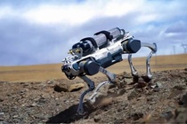 Robot cho xuat hien day dac o Singapore hinh anh