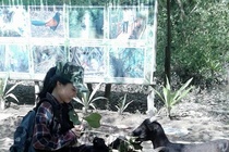 Cần Giờ luôn chào đón bạn.