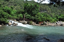 Suối nước Mooc.