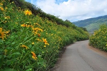 Trai nghiem thu vi o Da Lat thang 11 hinh anh