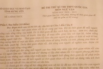 Tranh cai de thi thu THPT quoc gia nhieu loi hinh anh
