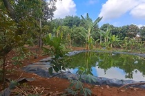Hen gap giai quyet mau thuan ghen tuong, mot nguoi bi danh tu vong hinh anh
