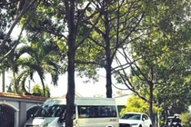 Bo Cong an de nghi Dak Lak cung cap ho so du toan 4 du an cay xanh hinh anh