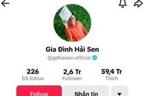 Chu kenh TikTok 'Gia dinh Hai Sen' bi bat vi nghi buon ban hang gia hinh anh