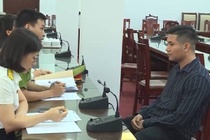 Khoi to giam doc Cong ty TNHH Mi Ha Noi vi tron thue hinh anh
