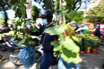 Nguoi dan do xo mua hoa ha gia ngay 30 Tet o TP.HCM hinh anh