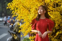 Những câu chúc Tết hay, ý nghĩa cho năm mới Quý Mão