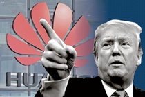 'Tấn công Huawei là sai lầm lớn của Tổng thống Trump'