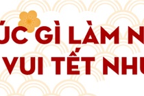 Vui Tet Nhu Y anh 1