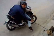 Hon 100 nguoi lien quan vu danh chet ke trom cho hinh anh