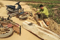 Nhom cho go lau tan cong kiem lam khi bi phat hien hinh anh