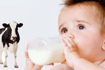 Tác hại khi dùng sữa công thức sai cách