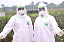 'Việt Nam khó có làn sóng thứ hai bùng dịch Covid-19'