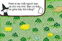 Chu ma mau trang tron o dau giua bay tho con? hinh anh