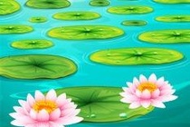 Do ban tinh duoc so ngay de la hoa sung bao phu nua ho nuoc hinh anh
