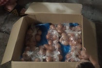 Chien si cong an cho gao, trung den tang xom tro ngheo o Ha Noi hinh anh