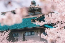 Vũ Hán gửi lời tri ân 'Cảm ơn vì có bạn' qua loạt ảnh du lịch