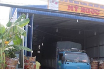 Ngao da mang luu dan do choi di cuop xe cong an xa hinh anh