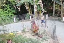 Nguoi dan ong danh phu nu hang xom tu vong hinh anh