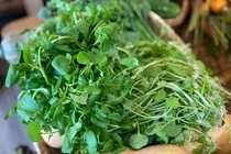 Loai rau duoc binh chon la tot nhat the gioi lai cuc san o cho Viet hinh anh