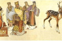 Bo luat Hong Duc muon tich 'chi huou noi ngua' noi ve toi gian doi hinh anh