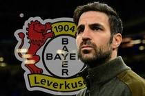 Fabregas co thay Alonso o Leverkusen? hinh anh