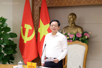 Phó thủ tướng yêu cầu nghiên cứu thuế chống đầu cơ, xử lý đất bỏ hoang