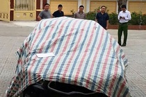 Tam giu tai xe tong coc tieu tai tram thu phi hinh anh