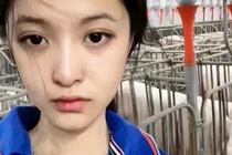 Kiem hon 14.500 USD nho viec nuoi lon sau khi tot nghiep dai hoc hinh anh