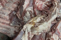 Thieu dao duc khi de thit heo khong tuoi vao truong hoc o TP.HCM hinh anh