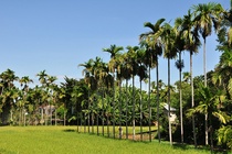 Bai toan tieu hoc trong cau thanh hang hinh anh