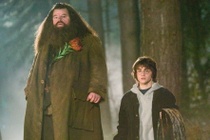 Sao phim 'Harry Potter' dau om trien mien truoc khi qua doi hinh anh