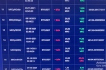 Triet pha san tien ao lua hon 2.000 nha dau tu hinh anh