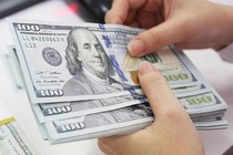 Bi lua 3 ty dong va 10.000 USD vi muon chay an hinh anh