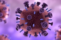HIV lay lan khap the gioi nhu the nao? hinh anh