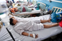 Ba người tử vong do nhiễm chủng sốt xuất huyết có độc lực cao