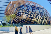 Giá vé giảm, số chuyến bay đến Nha Trang tăng đột biến trước lễ