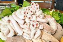 Mua long xe dieu ve an, gia dinh ta hoa khi bat gap ca giun san hinh anh