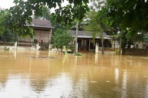 60.000 học sinh Hà Tĩnh không thể đến trường do mưa lũ
