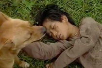 Câu chuyện ly kỳ về chú chó thông minh đóng phim 'Đất phương Nam'