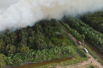 40 ha rừng ở Cà Mau đang cháy lớn