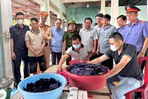 Bat giu 2 doi tuong mang sung quan dung van chuyen 26 kg ma tuy hinh anh